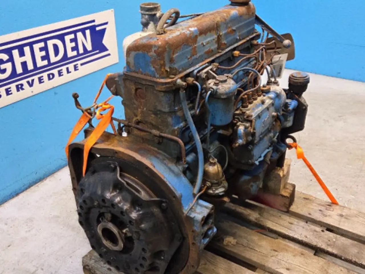 Billede 5 - Fordson Major Motor 1514219