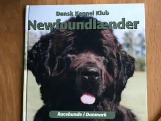 Newfoundlænder - Racehunde i Danmark