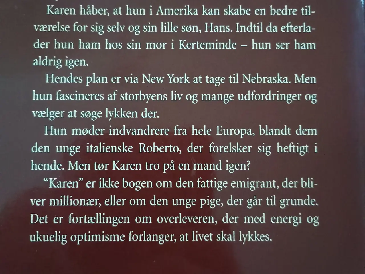 Billede 2 - Karen, en roman af Birthe Stemann Knudsen