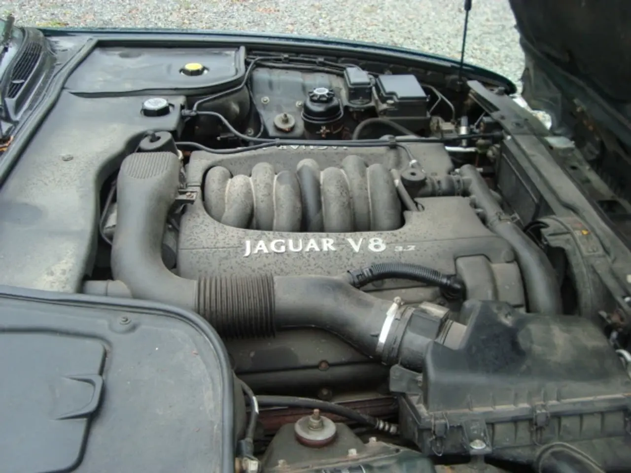 Billede 10 - Jaguar XJ 8 V8 velkørende
