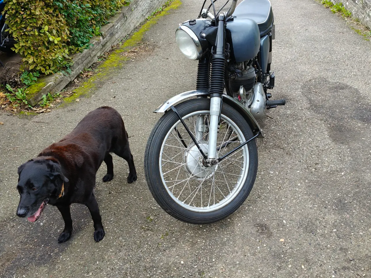 Billede 4 - BSA B40 WD