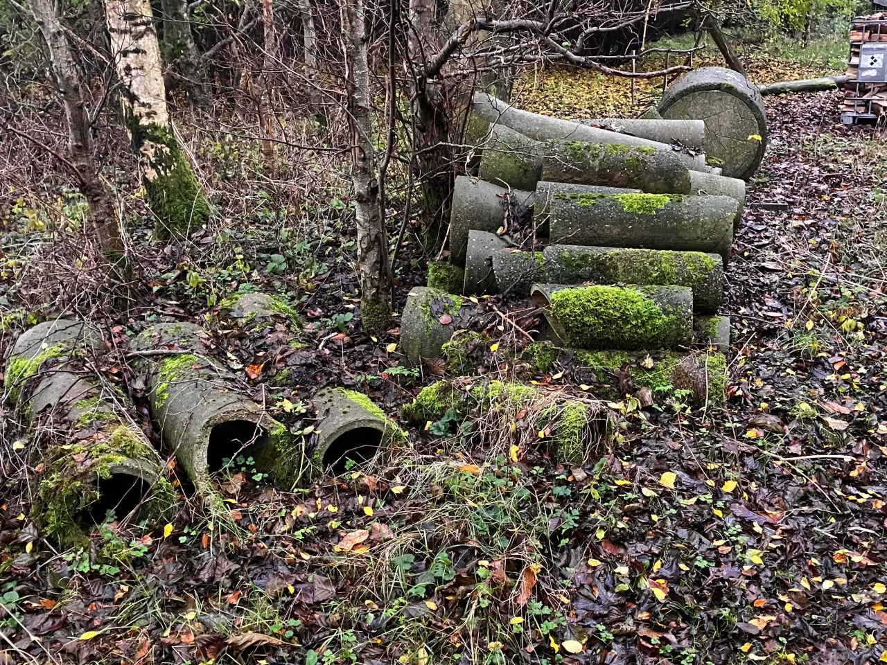 Billede 2 - Kunstgrav/rævegrav