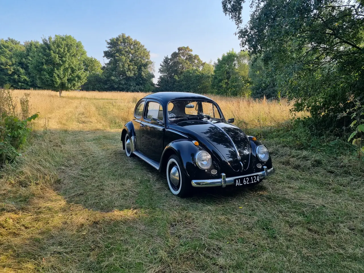 Billede 1 - VW buble 1961