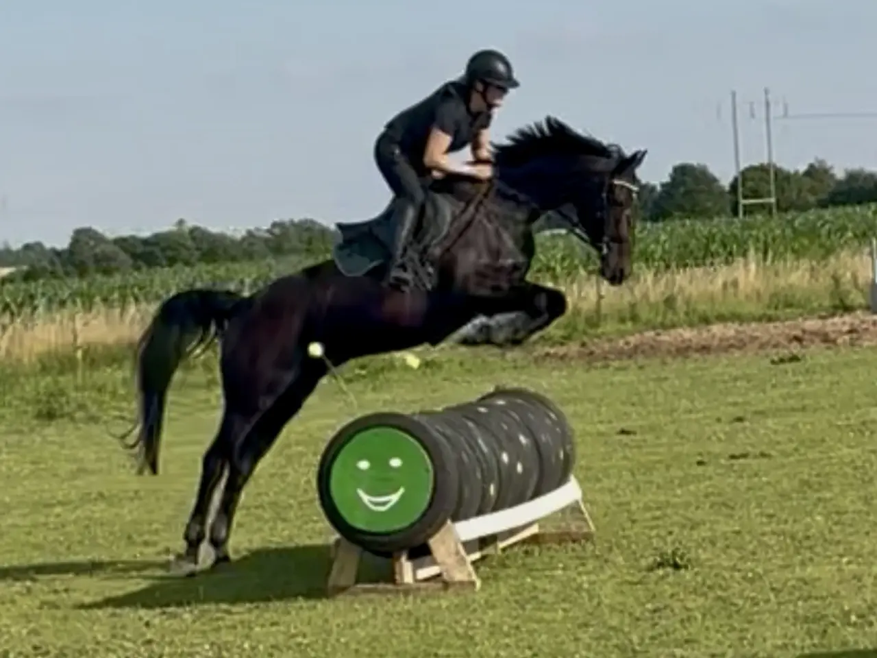 Billede 2 - Smuk hoppe