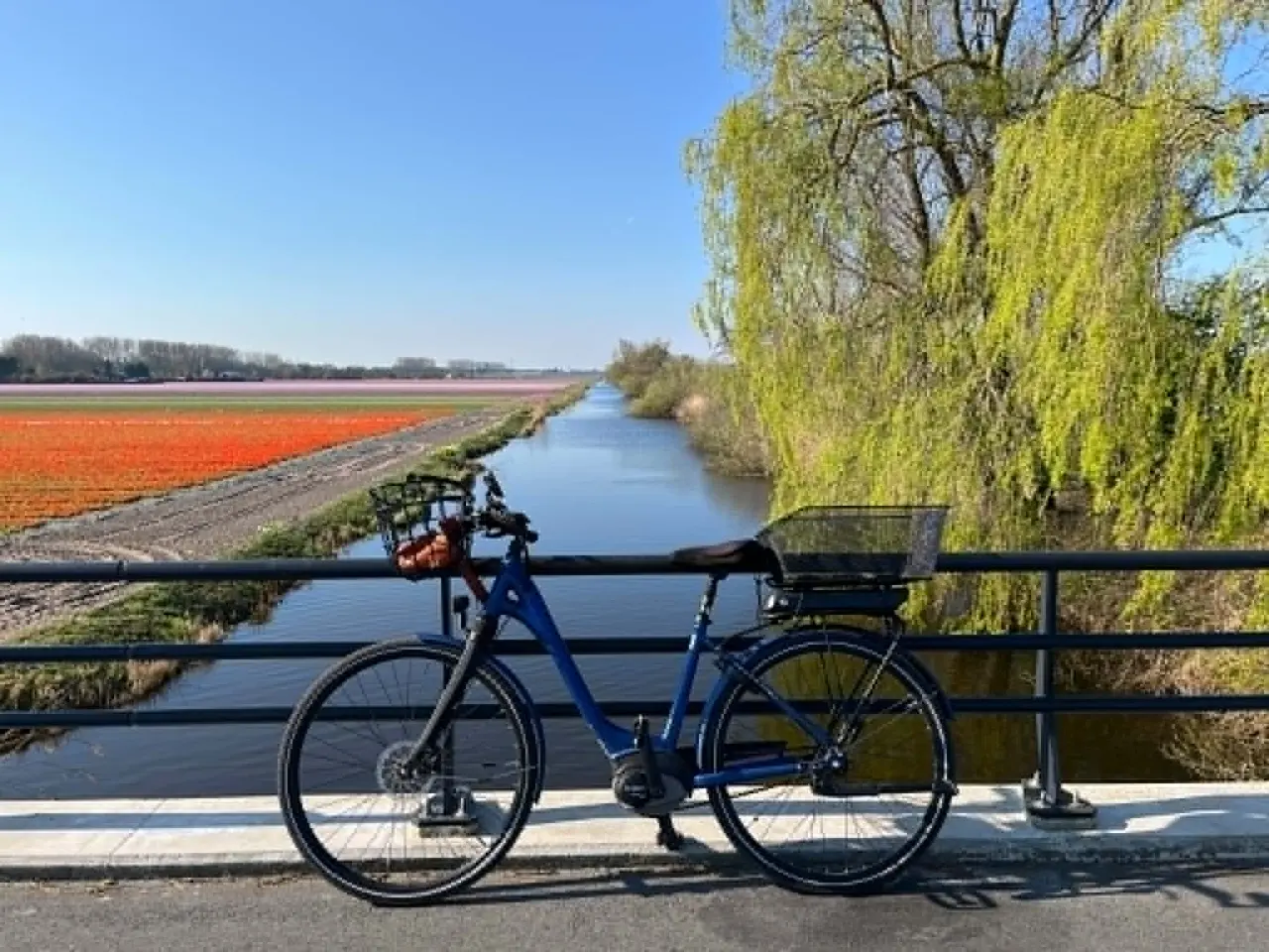 Billede 1 - Winther Superbe 4 elcykel med 7 gear