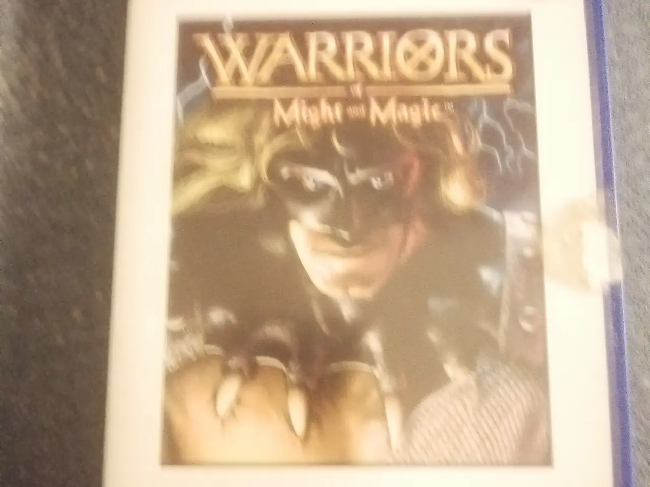 Billede 1 - Warriors of Might & Magic
