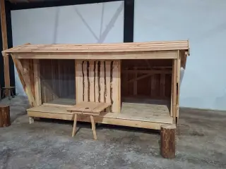 Shelter