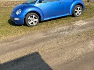 Wv beetle