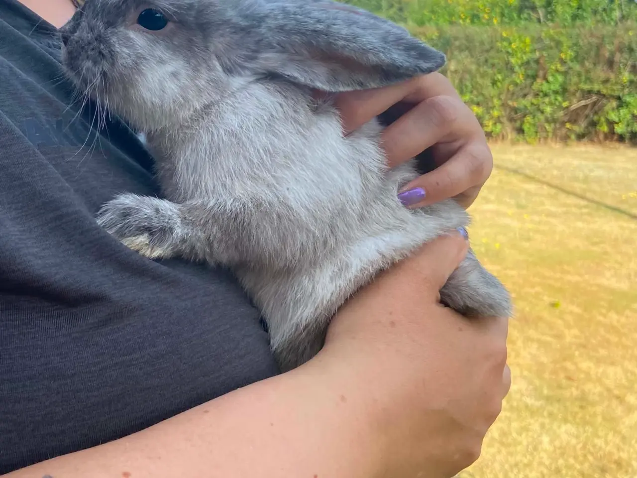 Billede 7 - Smuk kanin dreng🐰