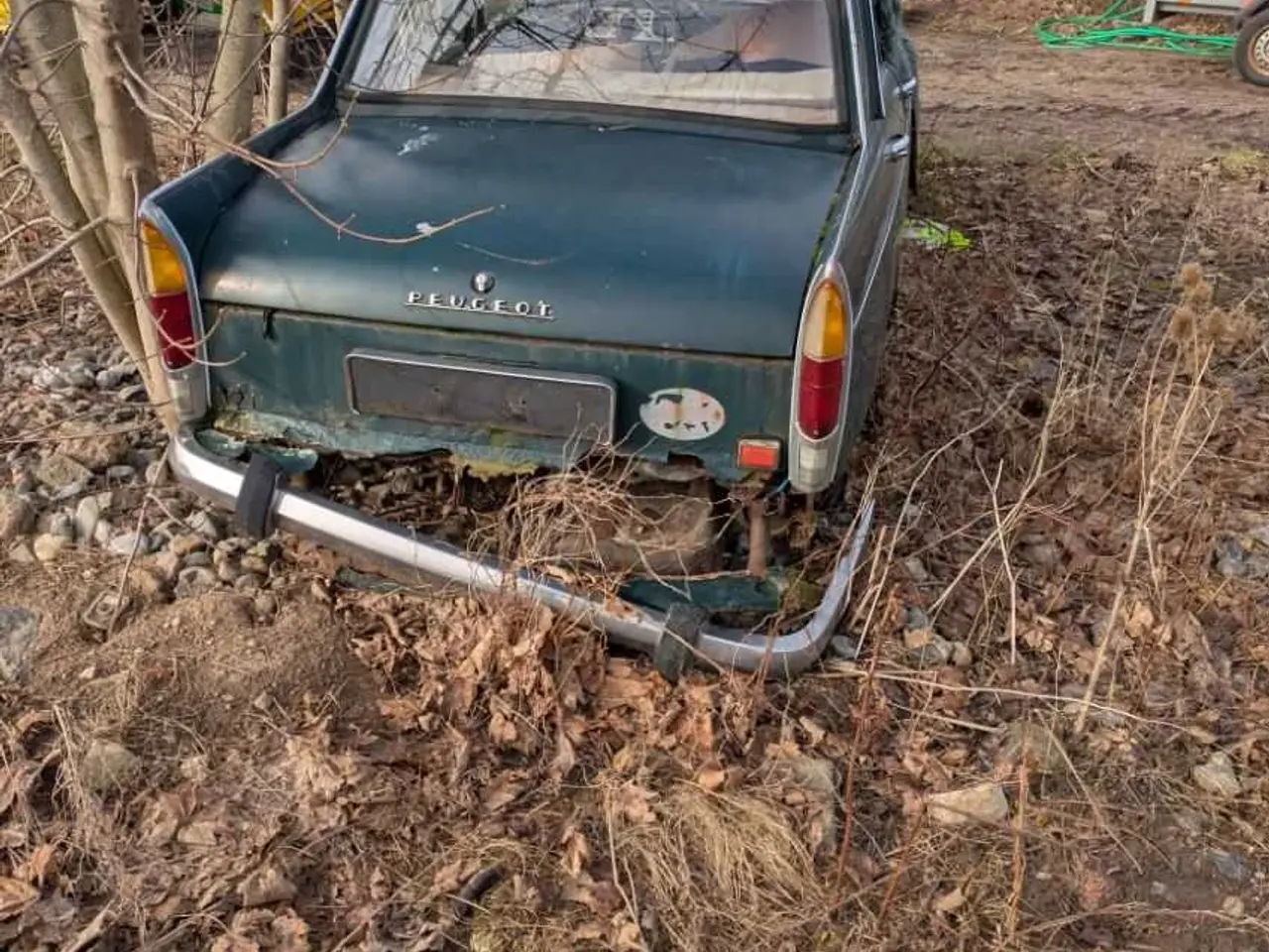 Billede 3 - Peugoet 404
