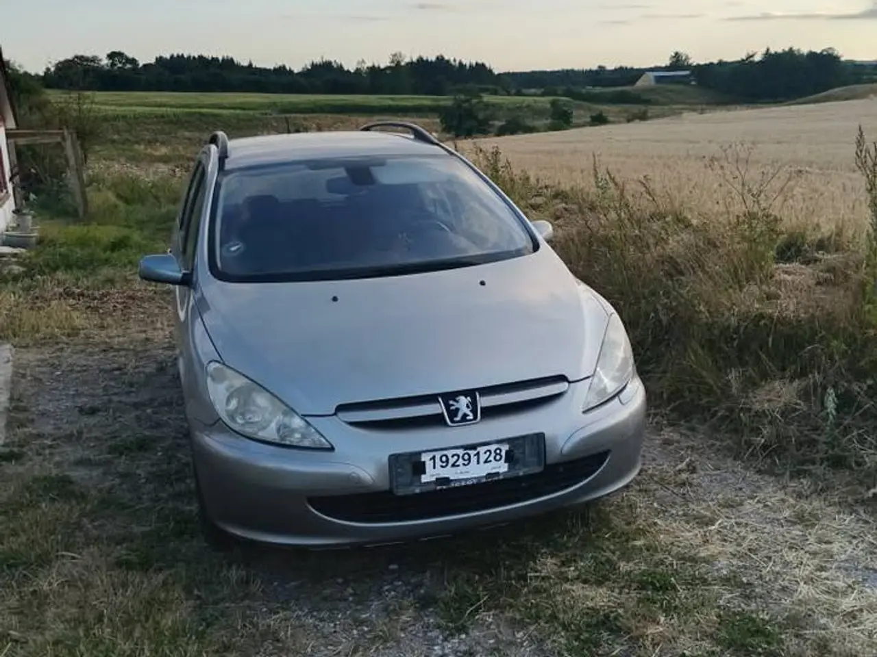 Billede 3 - (BYD) Peugeot 307, 1.6 HDI