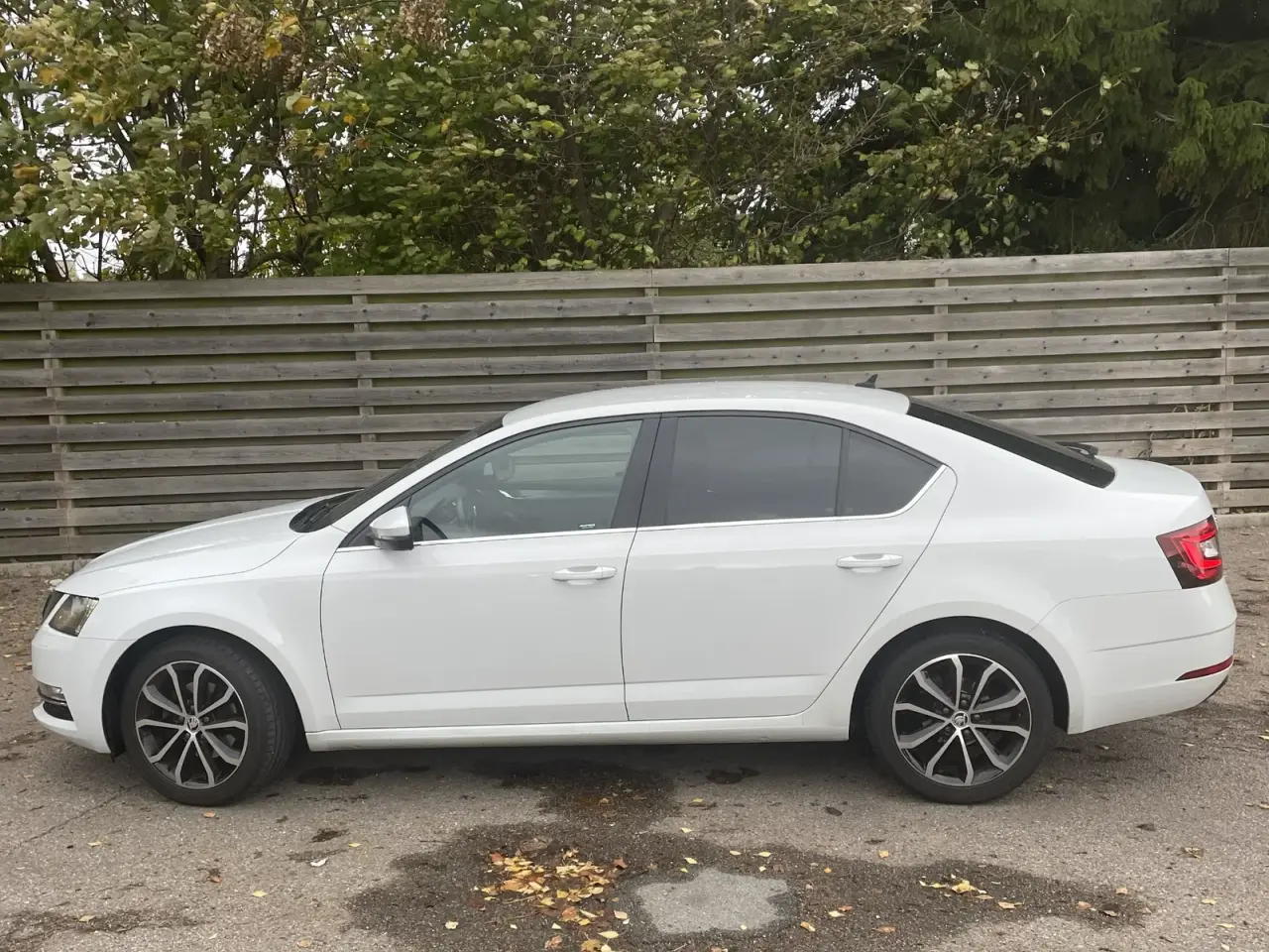 Billede 8 - Skoda Octavia 1,4 TSi 150 Style DSG