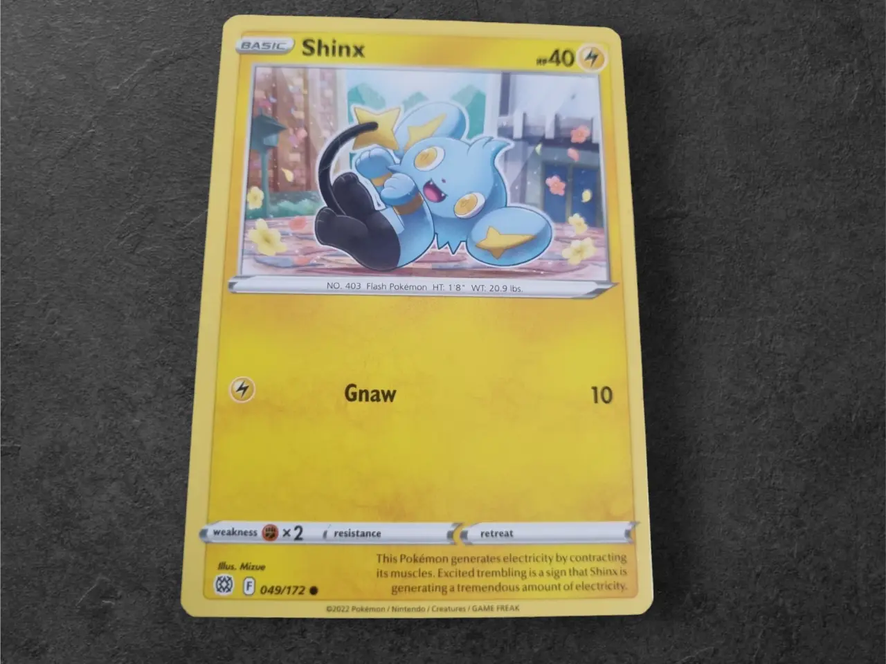 Billede 14 - Annonce 649 - Pokemon