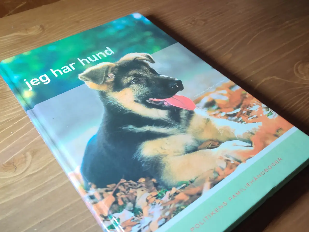 Billede 7 - Bog Jeg har hund 