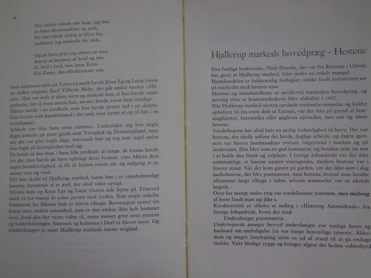 Billede 3 - Hjallerup Marked