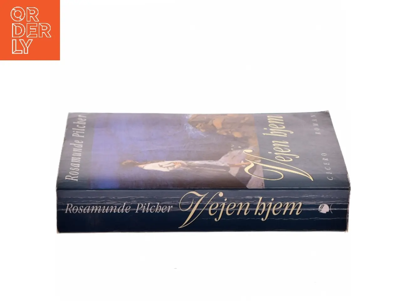 Billede 2 - Vejen hjem af Rosamunde Pilcher (Bog)
