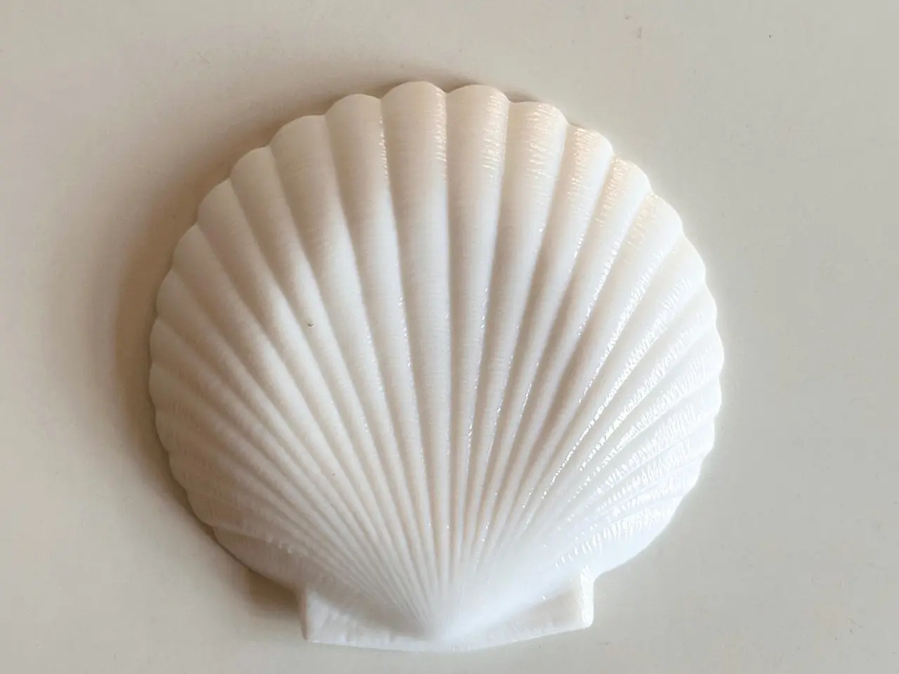 Billede 4 - Muslingeasiet, hvid opalineglas, pr stk