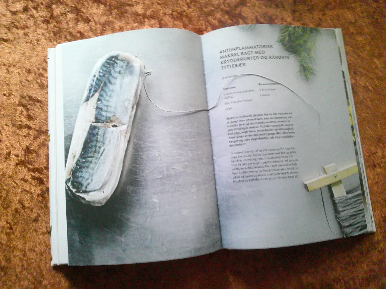 Billede 2 - Food pharmacy, Mia Clase, Lina Nertby Aurell