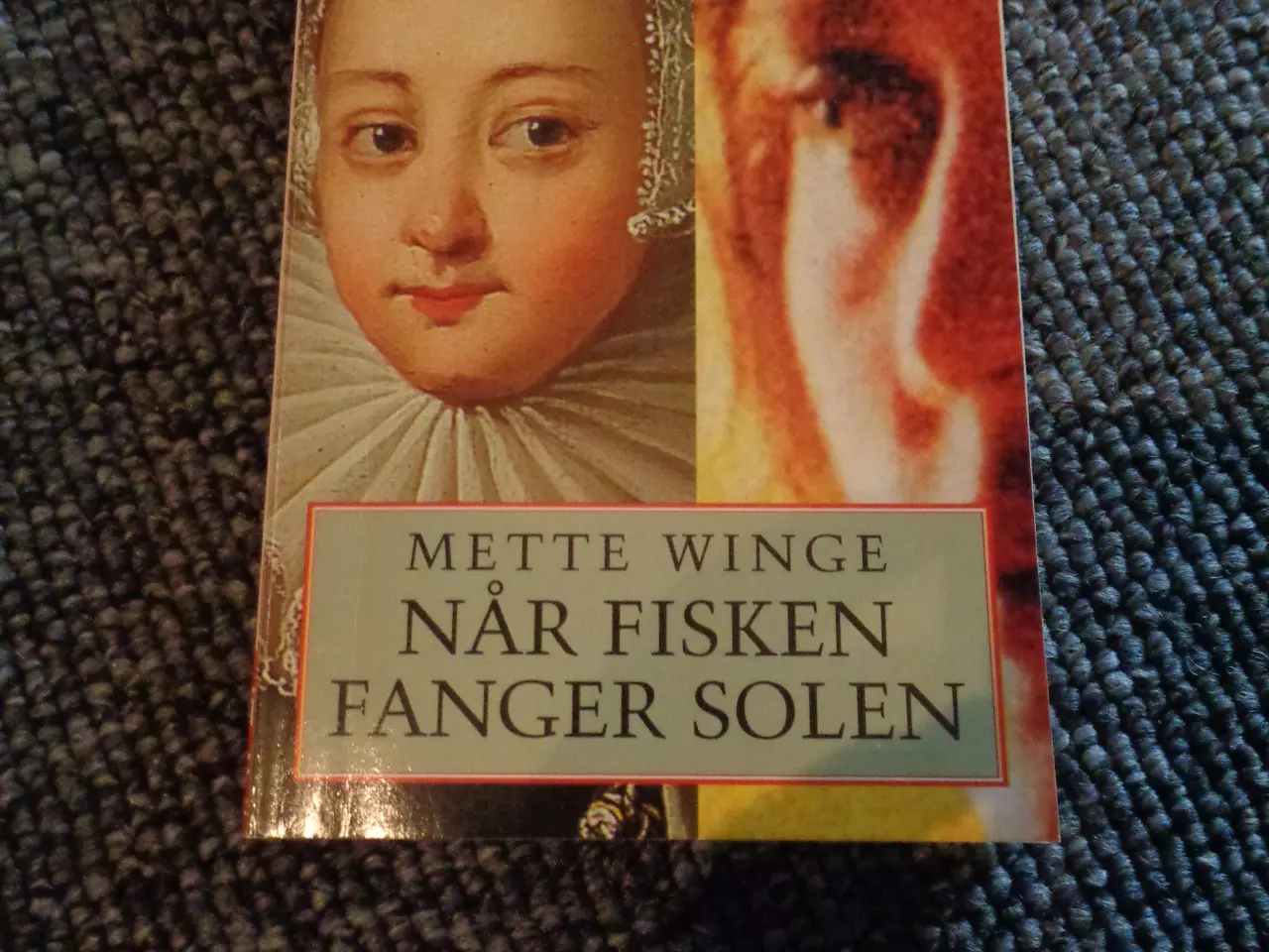 Billede 1 - Når fisken fanger solen