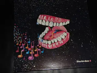Vinylplade - Shu.bi.dua 6