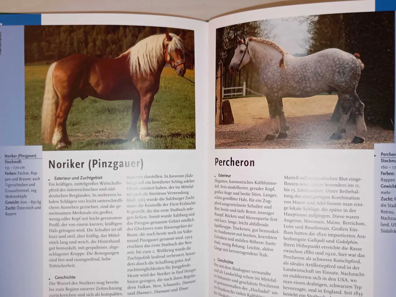 Billede 4 - Verdens pony og hesteracer. Flot bog