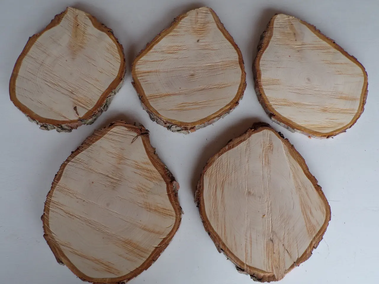 Billede 3 - 5 Thuja Træskiver med bark - 25,5 - 27,5 cm