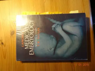 Medical Embryology, Langman
