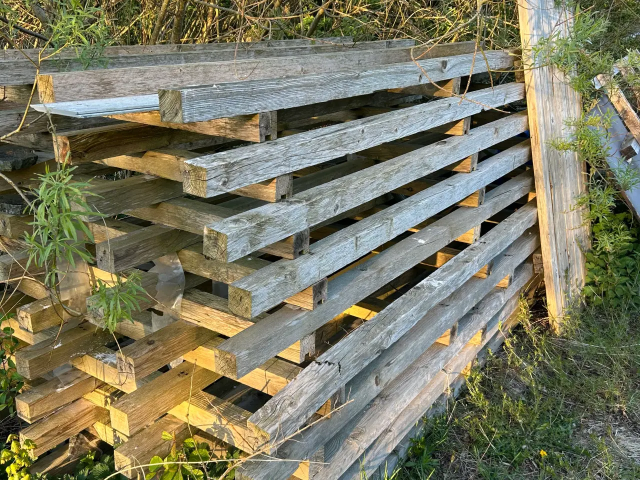 Billede 1 - Kæmpe Paller , byd 