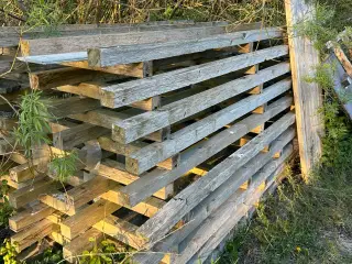 Kæmpe Palle