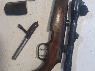 Steyr Mannlicher 308 L
