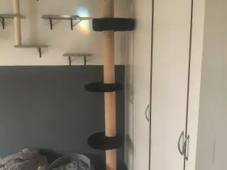 Klatter stativ til kat