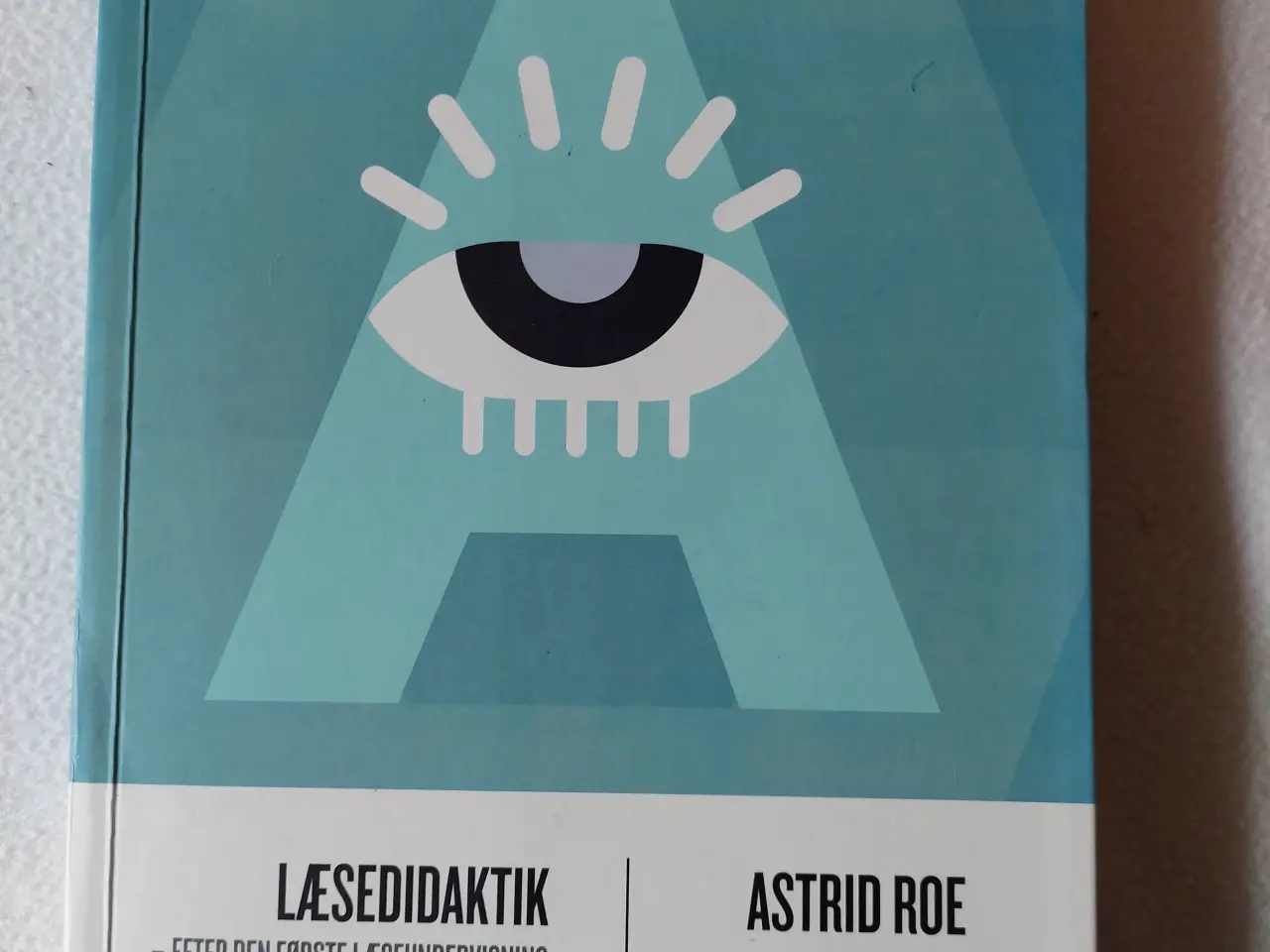 Billede 1 - Læse didaktik, efter den første læseundervisning