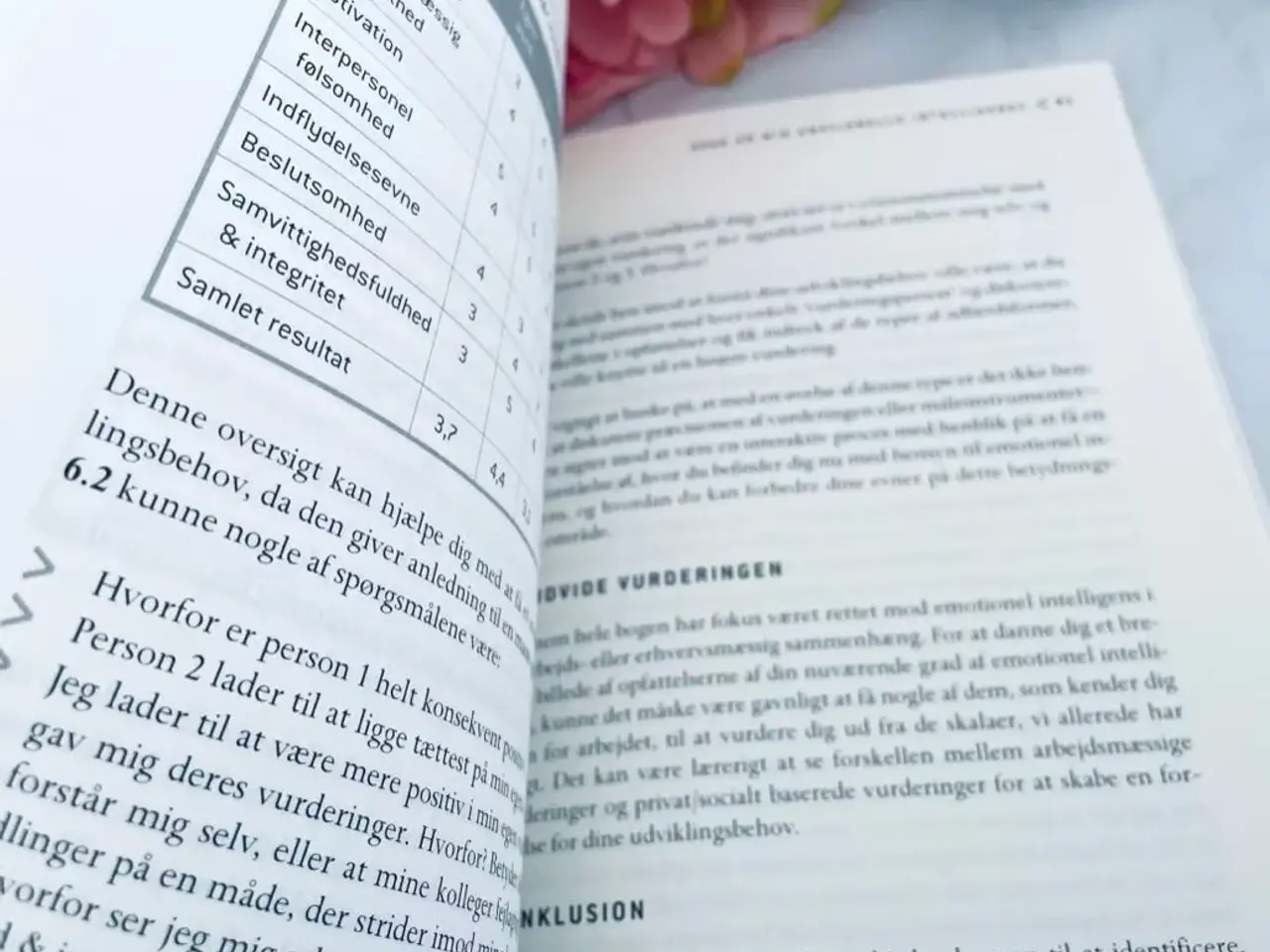 Billede 5 - Emotionel intelligens i organisationer