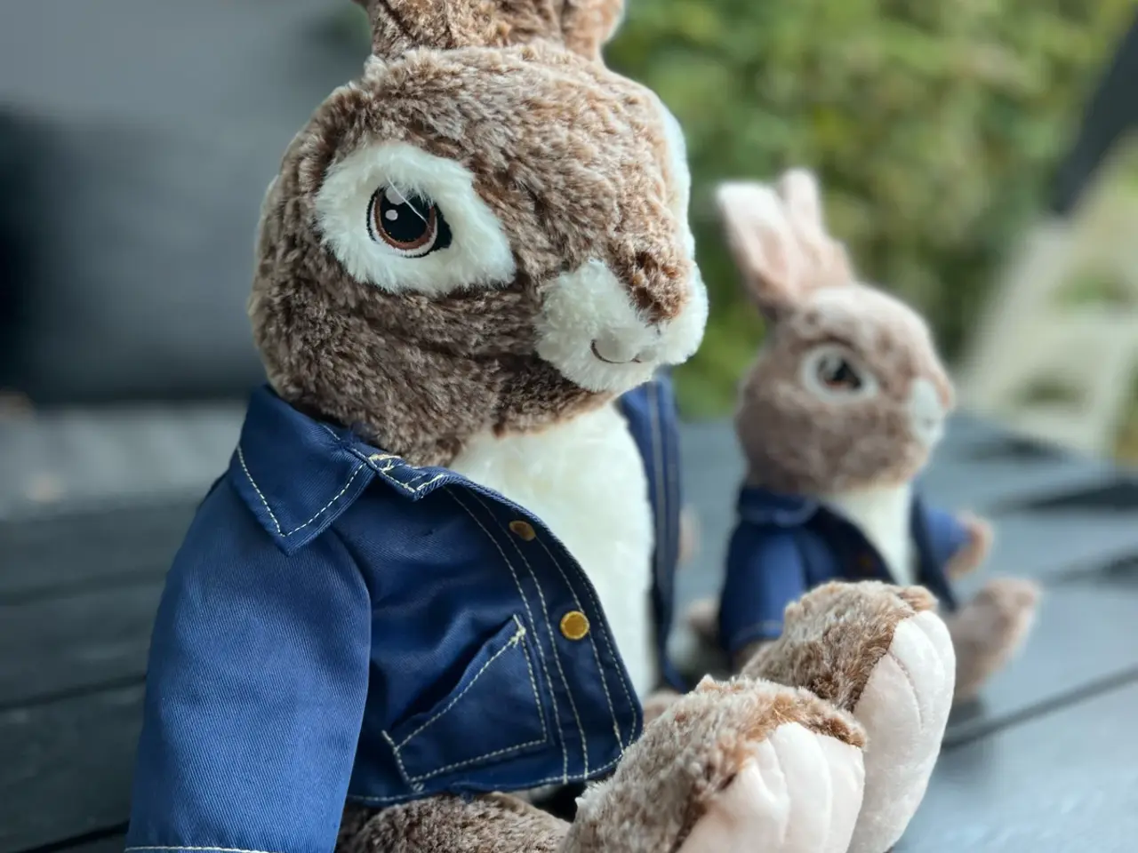 Billede 2 - Peter Rabbit DanDee bamser sæt
