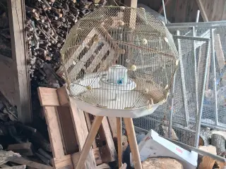Fugle bur på fødder