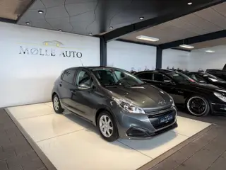 Peugeot 208 1,6 BlueHDi 100 Envy Sky