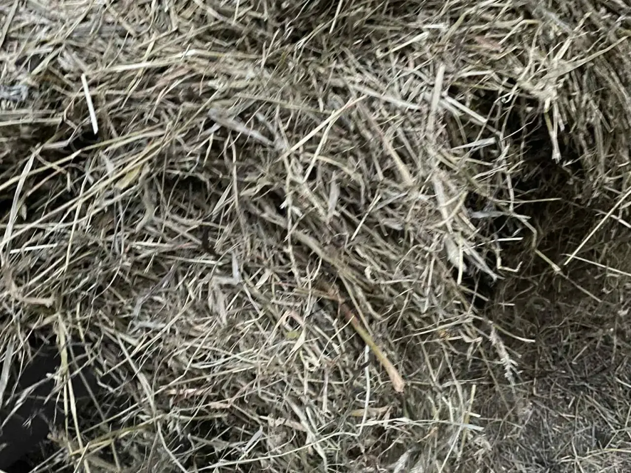 Billede 3 - 🌾💚 LÆKKERT WRAP-HØ TIL SALG – FRISKT, RENT
