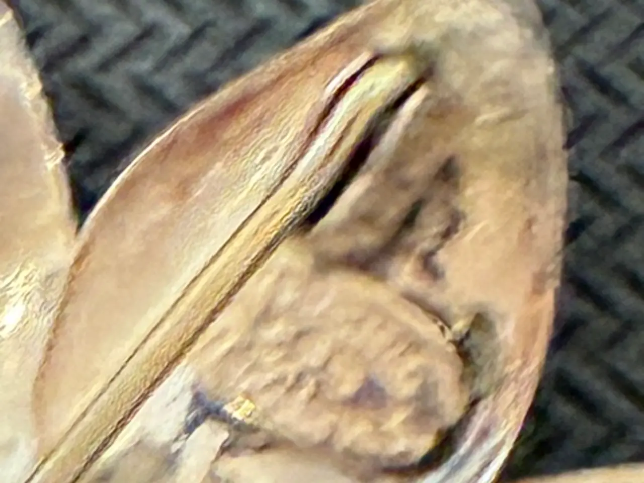 Billede 2 - Broche i 925 Sterling sølv af Herman Siersbøl.
