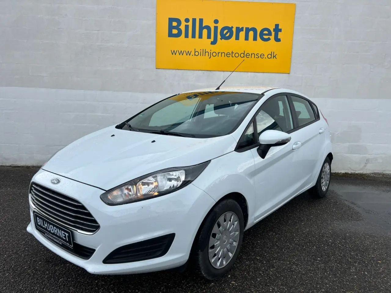 Billede 1 - Ford Fiesta 1,6 TDCi 95 Trend ECO