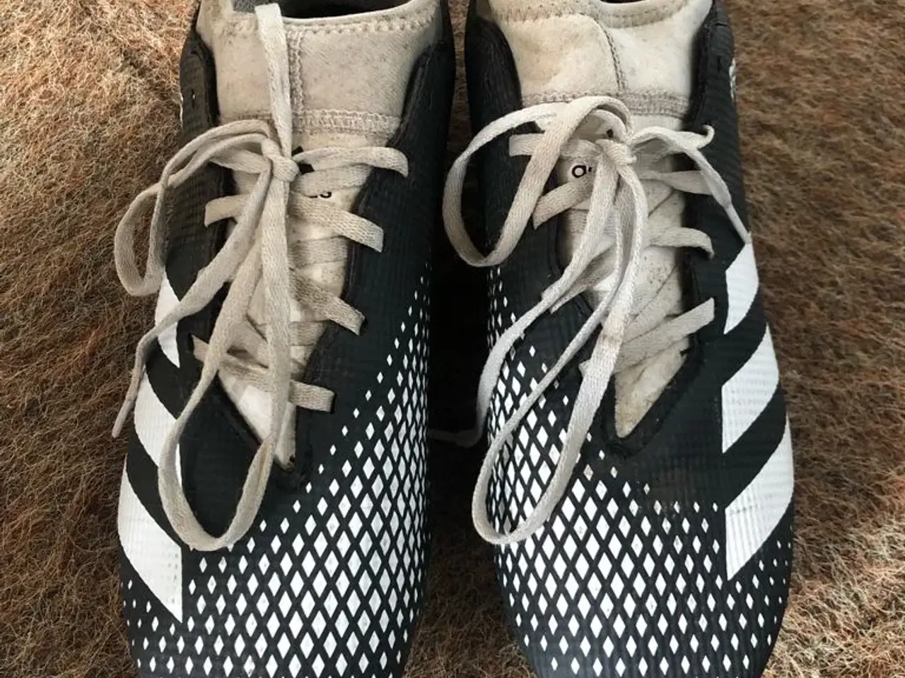 Billede 1 - Adidas fodboldstøvler str 43 1/3