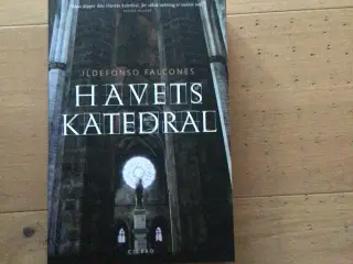 Havets katedral af Ildefonso Falcones