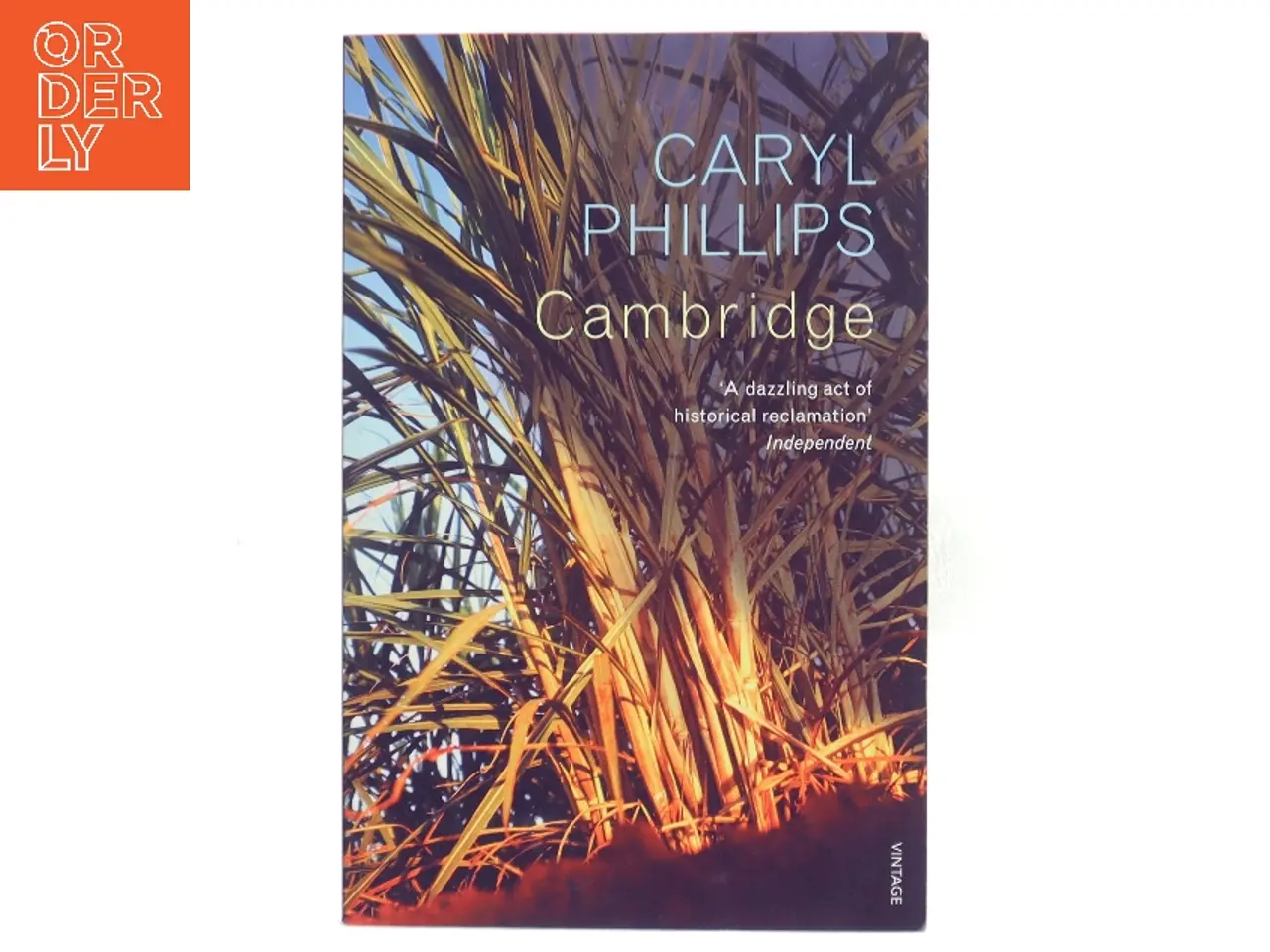 Billede 1 - Cambridge af Caryl Phillips (1958-) (Bog)