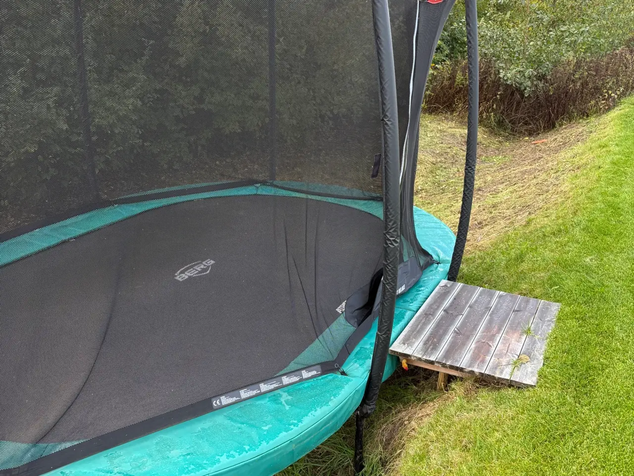 Billede 1 - Berg Champion oval trampolin