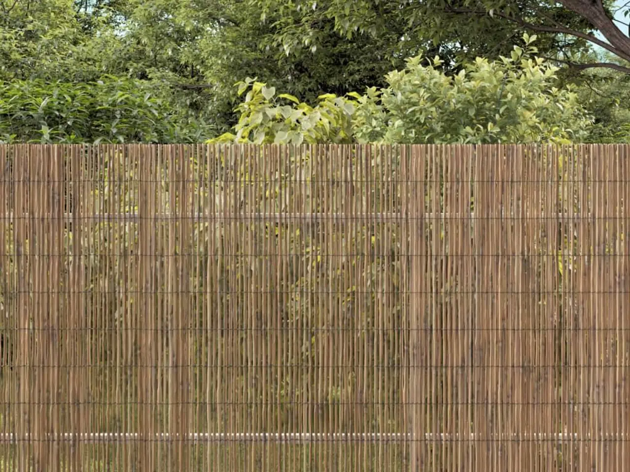 Billede 1 - Havehegn 500x90 cm siv