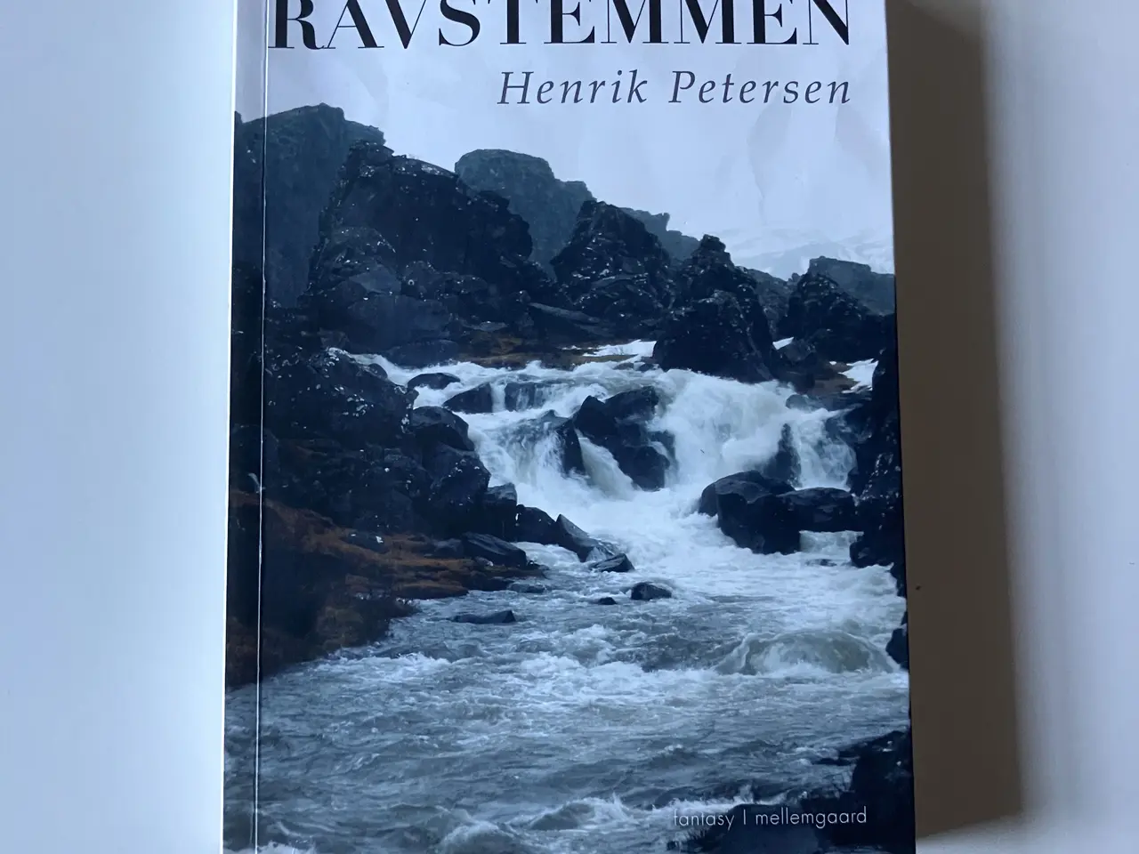 Billede 1 - Ravstemmen. Af Henrik Petersen