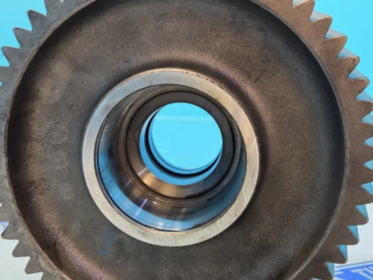 Billede 12 - Claas Axion 840 Gear 0011342950