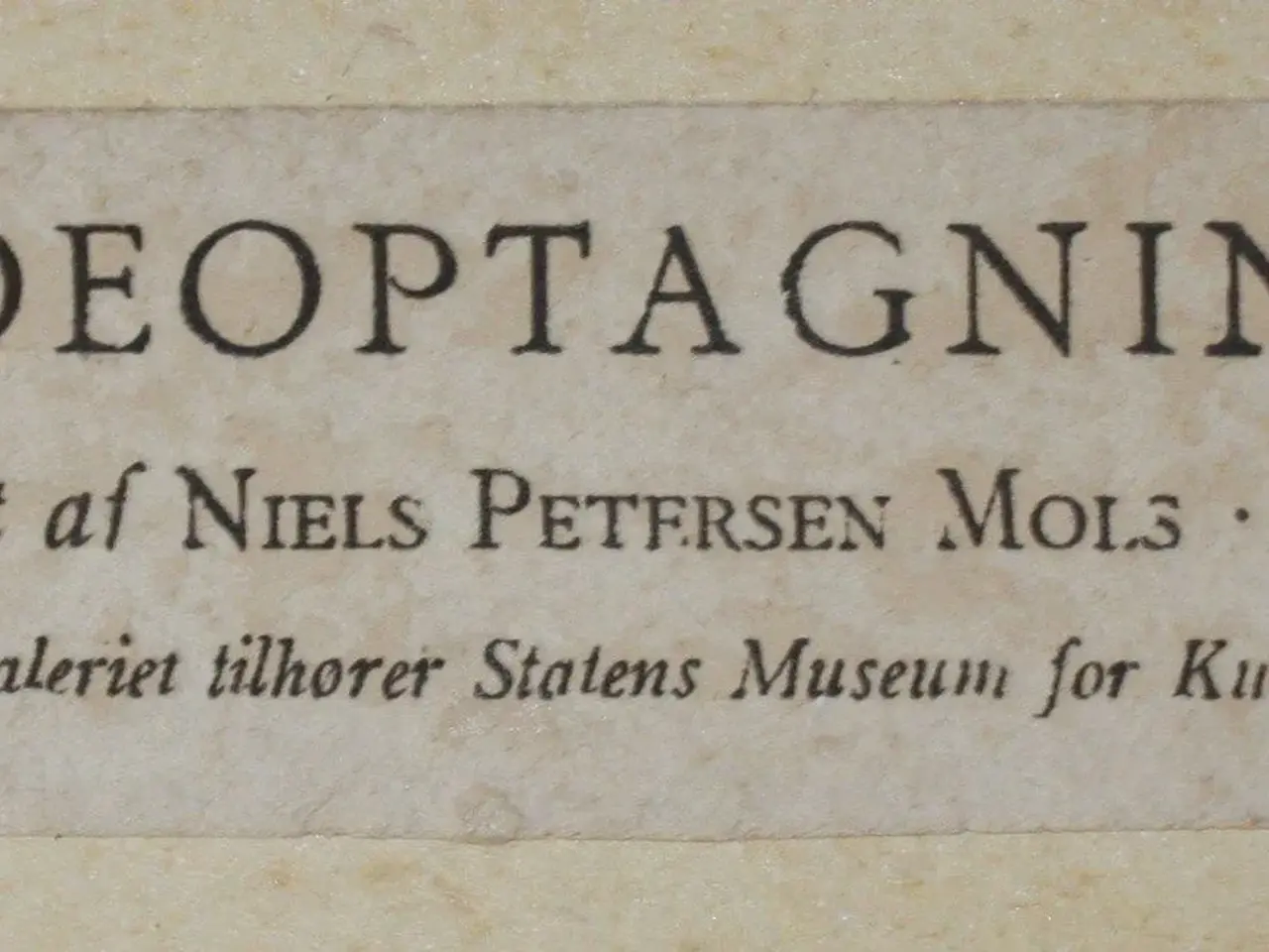 Billede 5 - Roeoptagning."Kopi af maleri