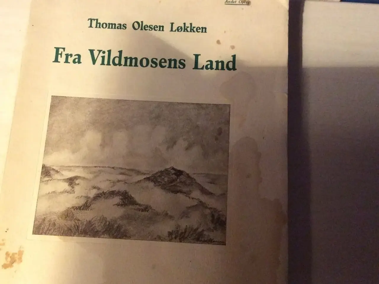 Billede 1 - Fra Vildmosens land