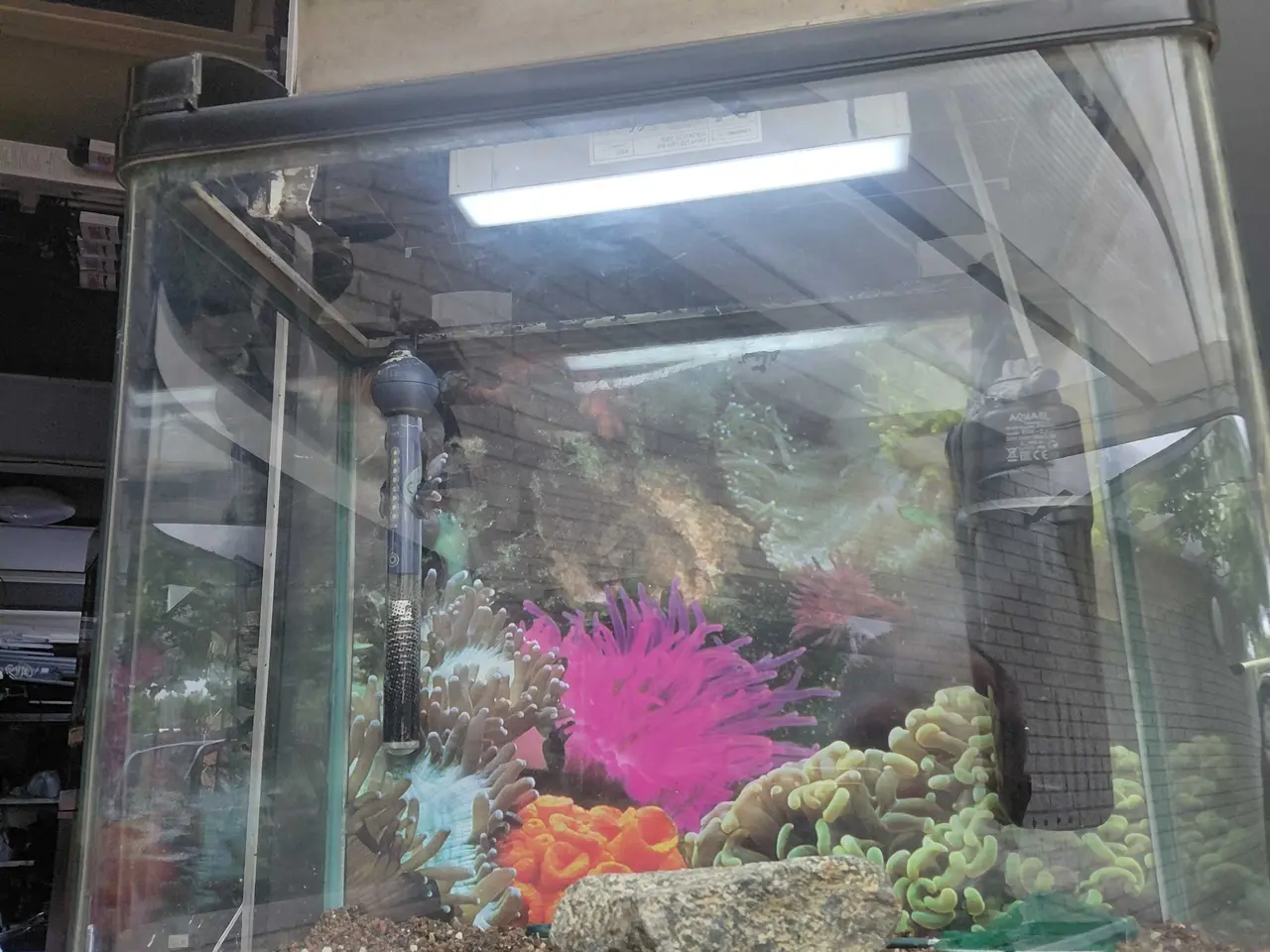 Billede 6 - Akvarier 60L