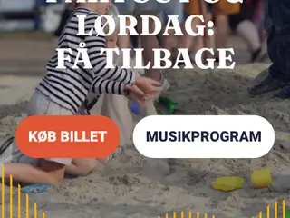 4 partubilletter til Tønder festival